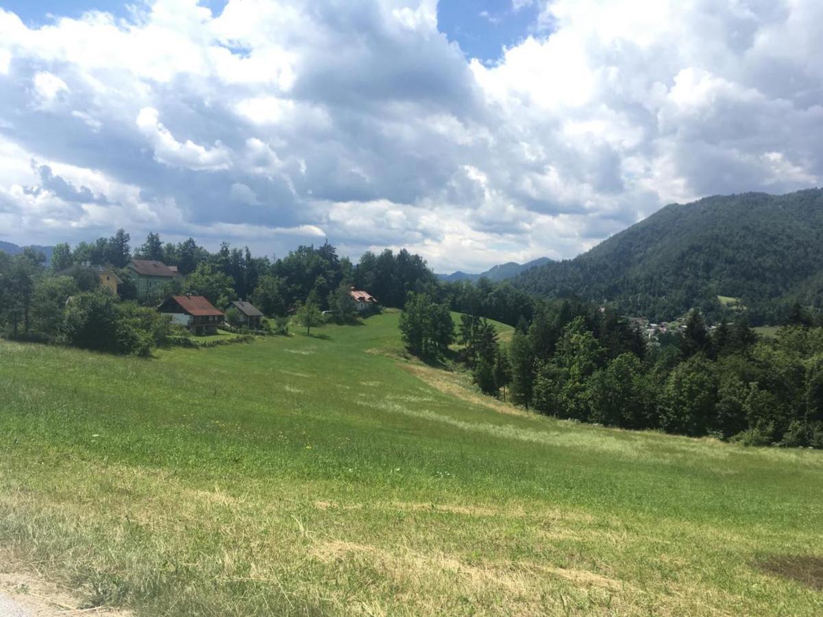 B&B Černe Polhov Gradec Exteriér fotografie