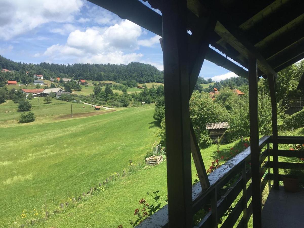 B&B Černe Polhov Gradec Exteriér fotografie