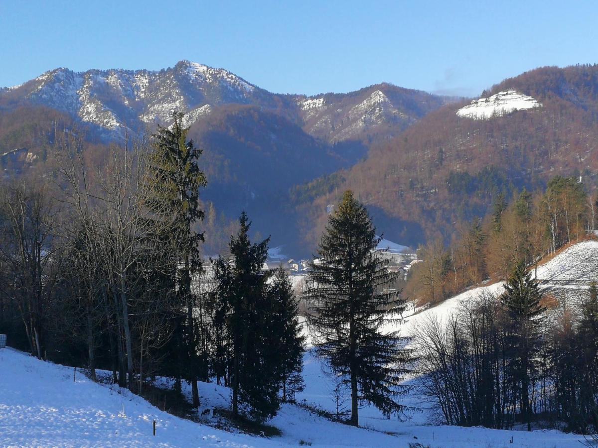 B&B Černe Polhov Gradec Exteriér fotografie