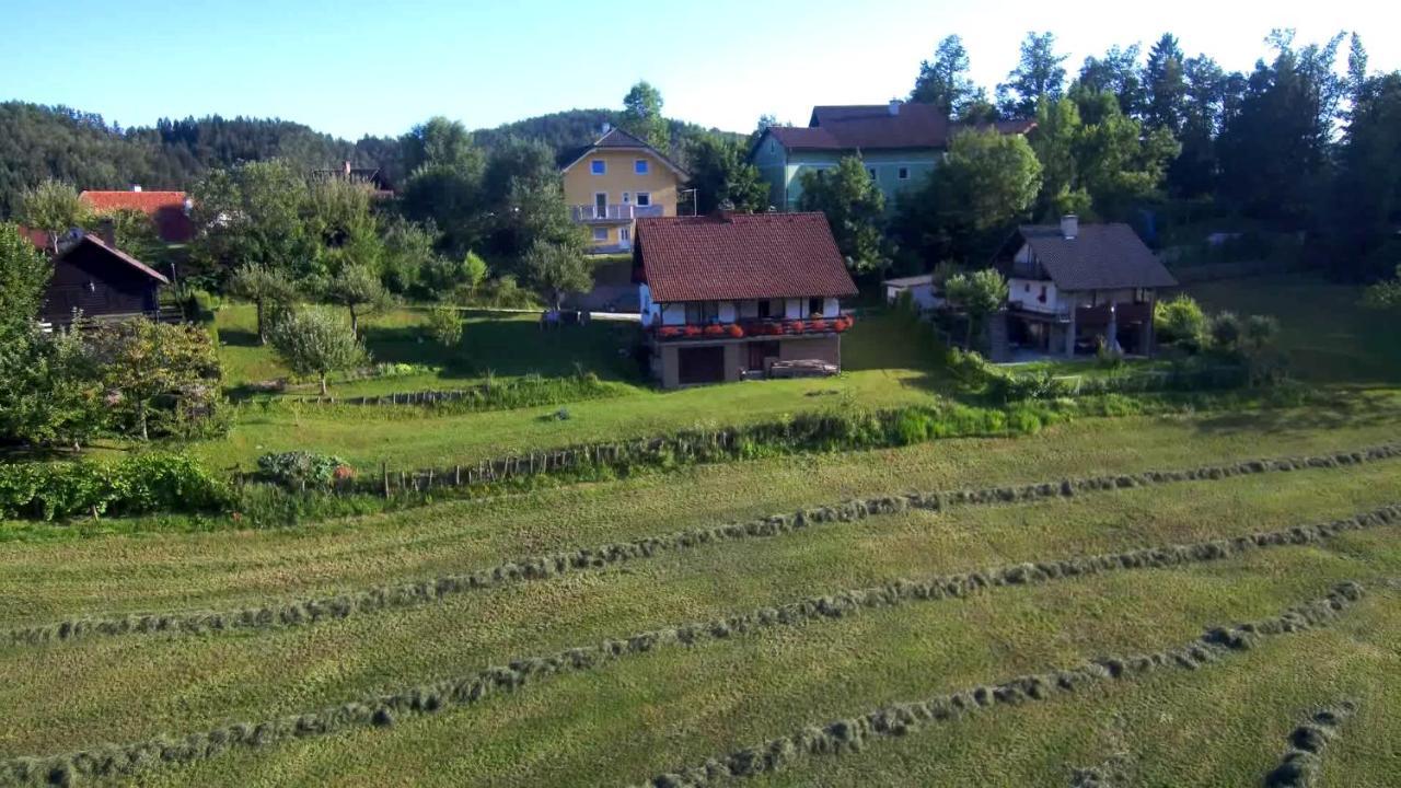 B&B Černe Polhov Gradec Exteriér fotografie